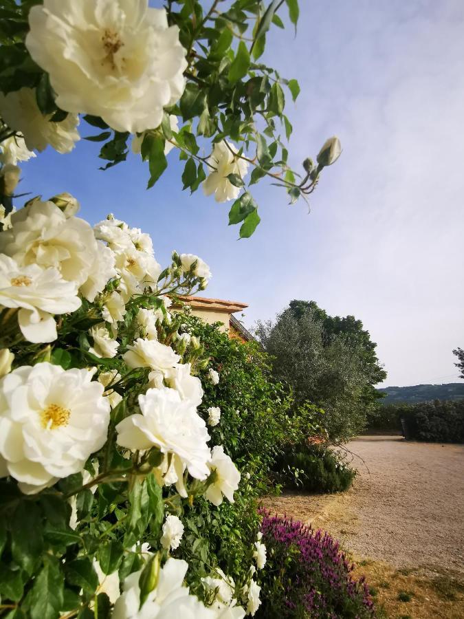 Bed and Breakfast La Casa Dei Tigli Cannara Exteriér fotografie
