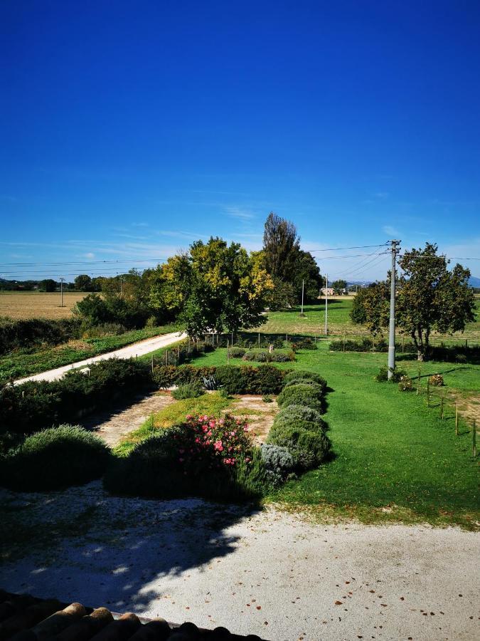 Bed and Breakfast La Casa Dei Tigli Cannara Exteriér fotografie