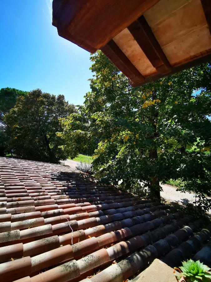 Bed and Breakfast La Casa Dei Tigli Cannara Exteriér fotografie