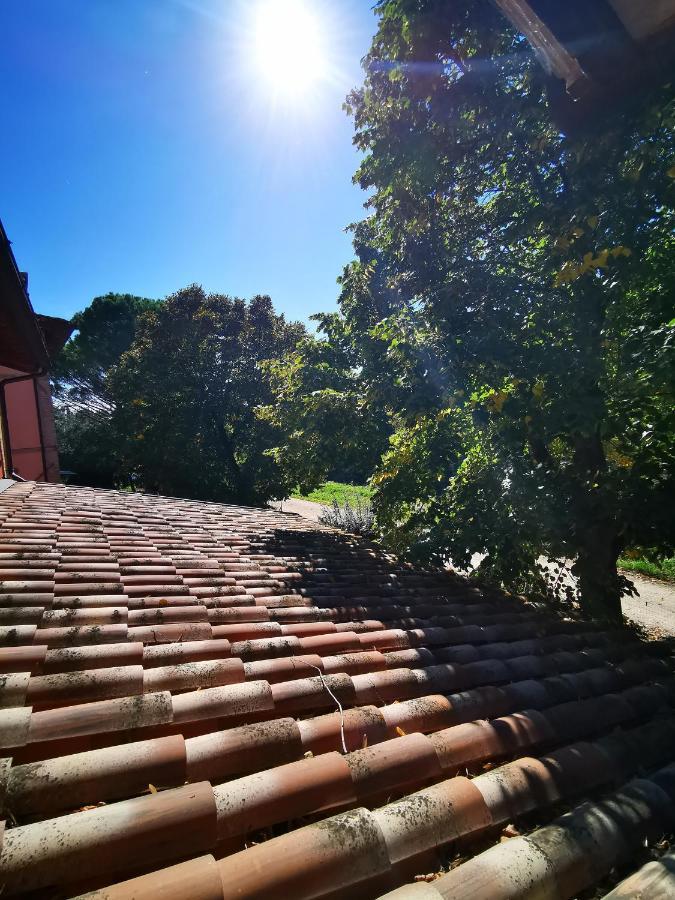 Bed and Breakfast La Casa Dei Tigli Cannara Exteriér fotografie